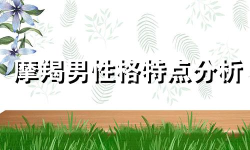 摩羯男性格特点分析 摩羯男性格深度分析缺点