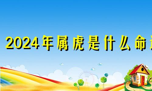 2024年属虎是什么命运 2024年属虎的是什么命五行