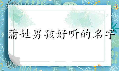 蒲姓男孩好听的名字 蒲氏取名男孩名字