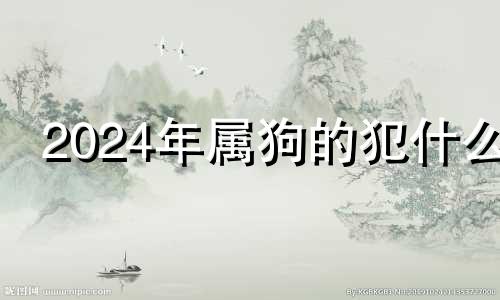 2024年属狗的犯什么 2024年属狗人的全年运势详解