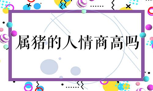 属猪的人情商高吗 属猪男人的情商是不是特别低