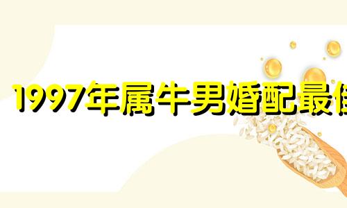 1997年属牛男婚配最佳 1997年属牛男最佳婚配属牛女咋样