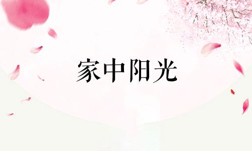 家中阳光 阳光照进家里,家里有什么变化