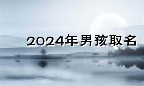 2024年男孩取名 2024年宝宝名字