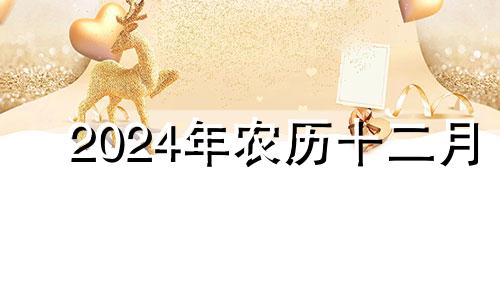 2024年农历十二月 2024年11月日历表