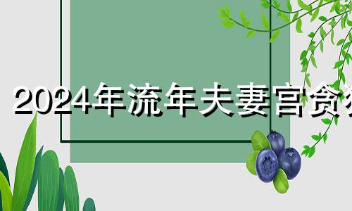 2024年流年夫妻宫贪狼 2024年流年夫妻宫到了交友宫逢破军天姚红鸾