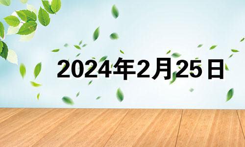 2024年2月25日 2024年2月多少天?