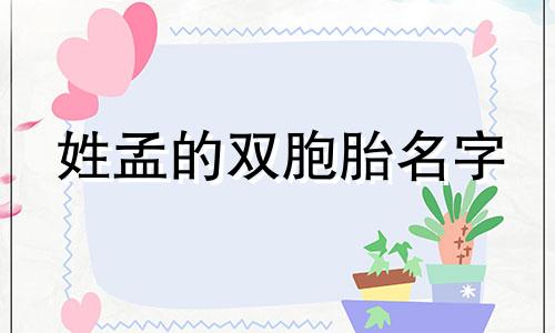 姓孟的双胞胎名字 爸爸姓孟妈妈姓马起名