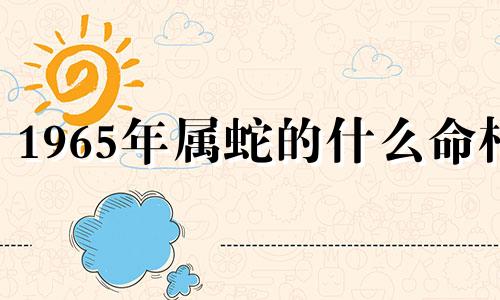 1965年属蛇的什么命相 2024属蛇4大喜事