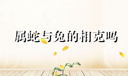 属蛇与兔的相克吗 属蛇和兔相克吗