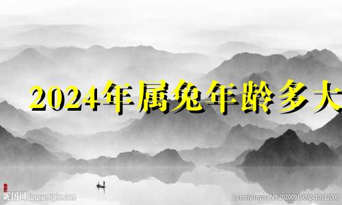 2024年属兔年龄多大 2024年属兔的几岁