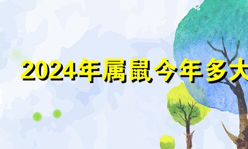 2024年属鼠今年多大 2024年属鼠的财运和运气