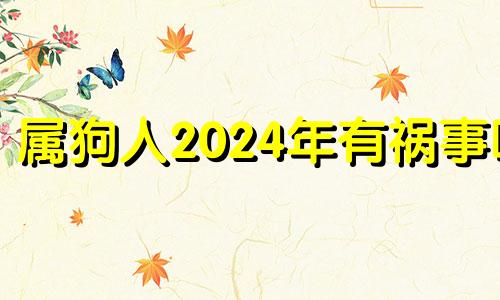 属狗人2024年有祸事吗 属狗的2024年