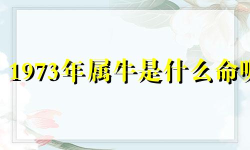 1973年属牛是什么命呢 1973年属牛是什么命宫