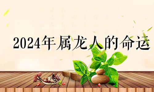 2024年属龙人的命运 2024年属龙百年难遇