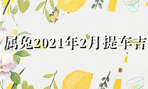 属兔2021年2月提车吉日 2024年兔宝宝忌讳几月出生