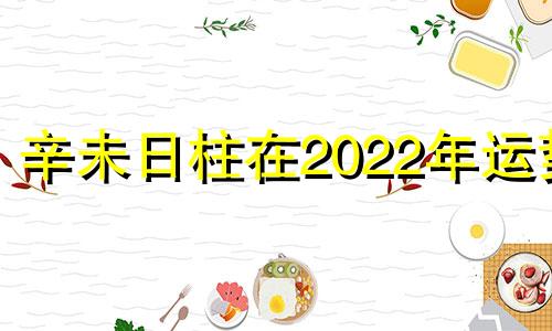 辛未日柱在2022年运势 辛未日柱在辛丑年