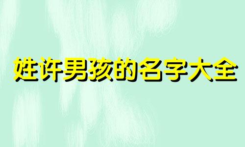 姓许男孩的名字大全 许姓男孩取名简单大气