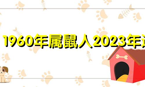 1960年属鼠人2023年运势 1960年属鼠男在2022年感情