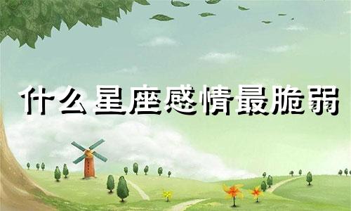 什么星座感情最脆弱 什么星座对待感情最认真