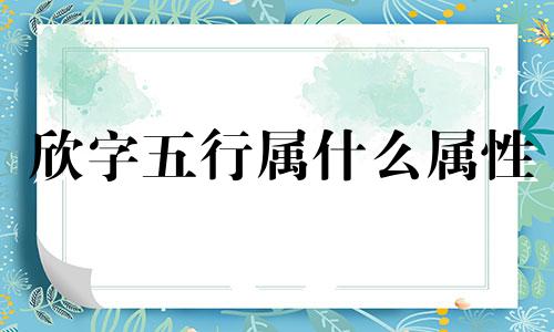 欣字五行属什么属性 昕字五行属什么