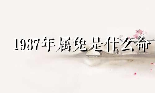 1987年属兔是什么命 2000年属龙是什么命