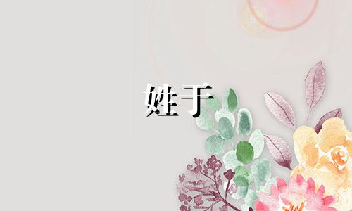 姓于 名字 于姓取的最妙有水平的名字