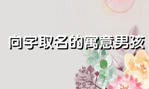 向字取名的寓意男孩 向字取名的寓意是什么