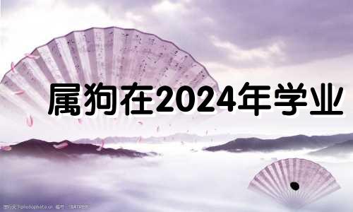 属狗在2024年学业 生肖狗在2024年的运势以及注意月份