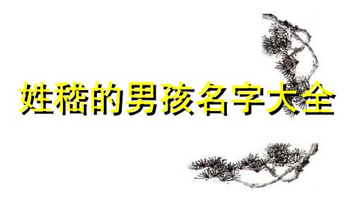 姓嵇的男孩名字大全 嵇氏姓名大全