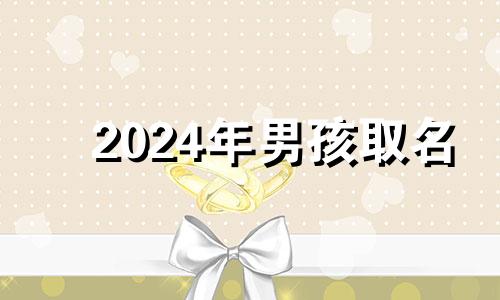 2024年男孩取名 2024年龙宝宝取什么名字好