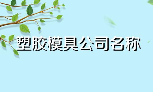 塑胶模具公司名称 模塑公司名字起名大全