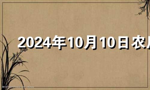 2024年10月10日农历 2024年10月10日是星期几