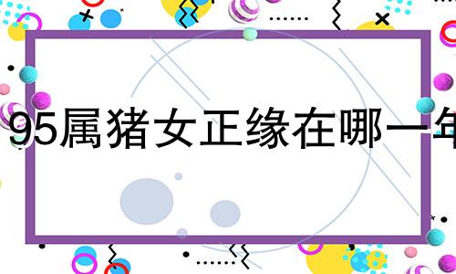 95属猪女正缘在哪一年 2024属猪要小心一个人