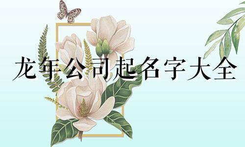 龙年公司起名字大全 龙命名的公司名称