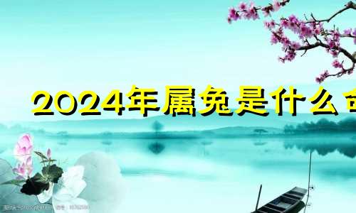 2024年属兔是什么命 2024年生肖兔