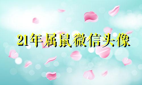 21年属鼠微信头像 2024年属鼠的财运和运气