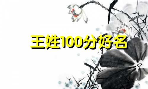 王姓100分好名