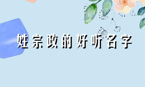 姓宗政的好听名字 宗政姓氏怎么读