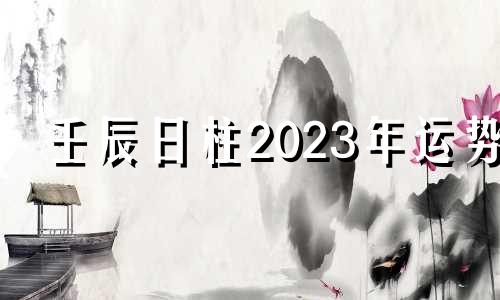 壬辰日柱2023年运势 壬辰日柱2022年