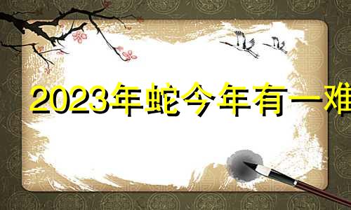 2023年蛇今年有一难 2024年蛇今年有一难属兔的事情是几点好给我办的