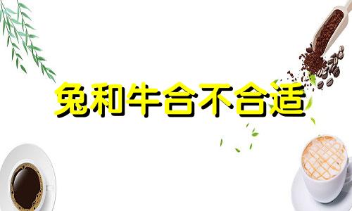 兔和牛合不合适 兔和牛合不合、子女关系