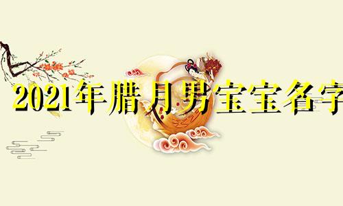 2021年腊月男宝宝名字 2020年腊月出生的男宝取名