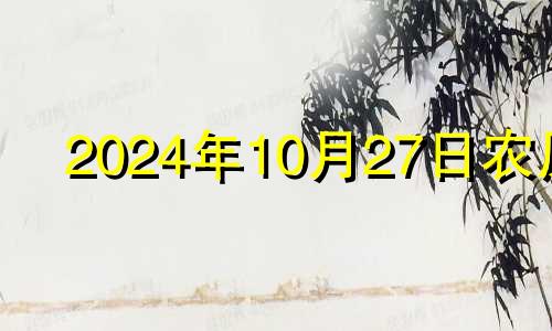 2024年10月27日农历 2020年农历10月二十四