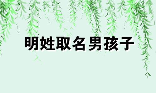 明姓取名男孩子 明姓男孩取名大全 这些名字太好听了