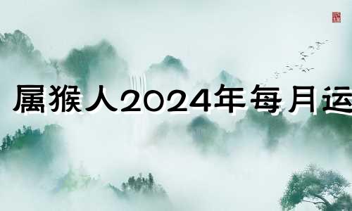 属猴人2024年每月运势 生肖猴2024