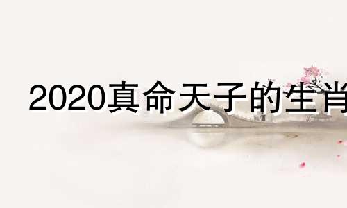 2020真命天子的生肖