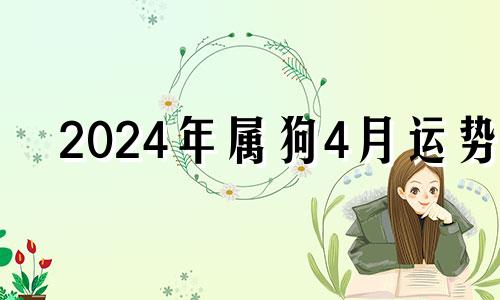 2024年属狗4月运势 2024年属狗人的全年每月