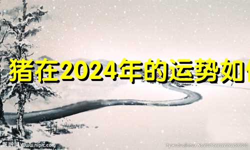 猪在2024年的运势如何 2024年猪人财运