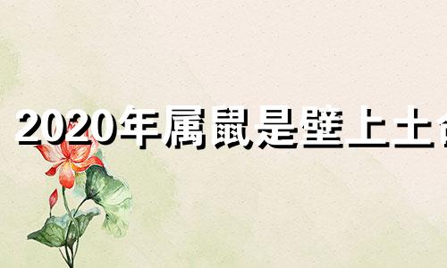 2020年属鼠是壁上土命 2020年属鼠壁上土